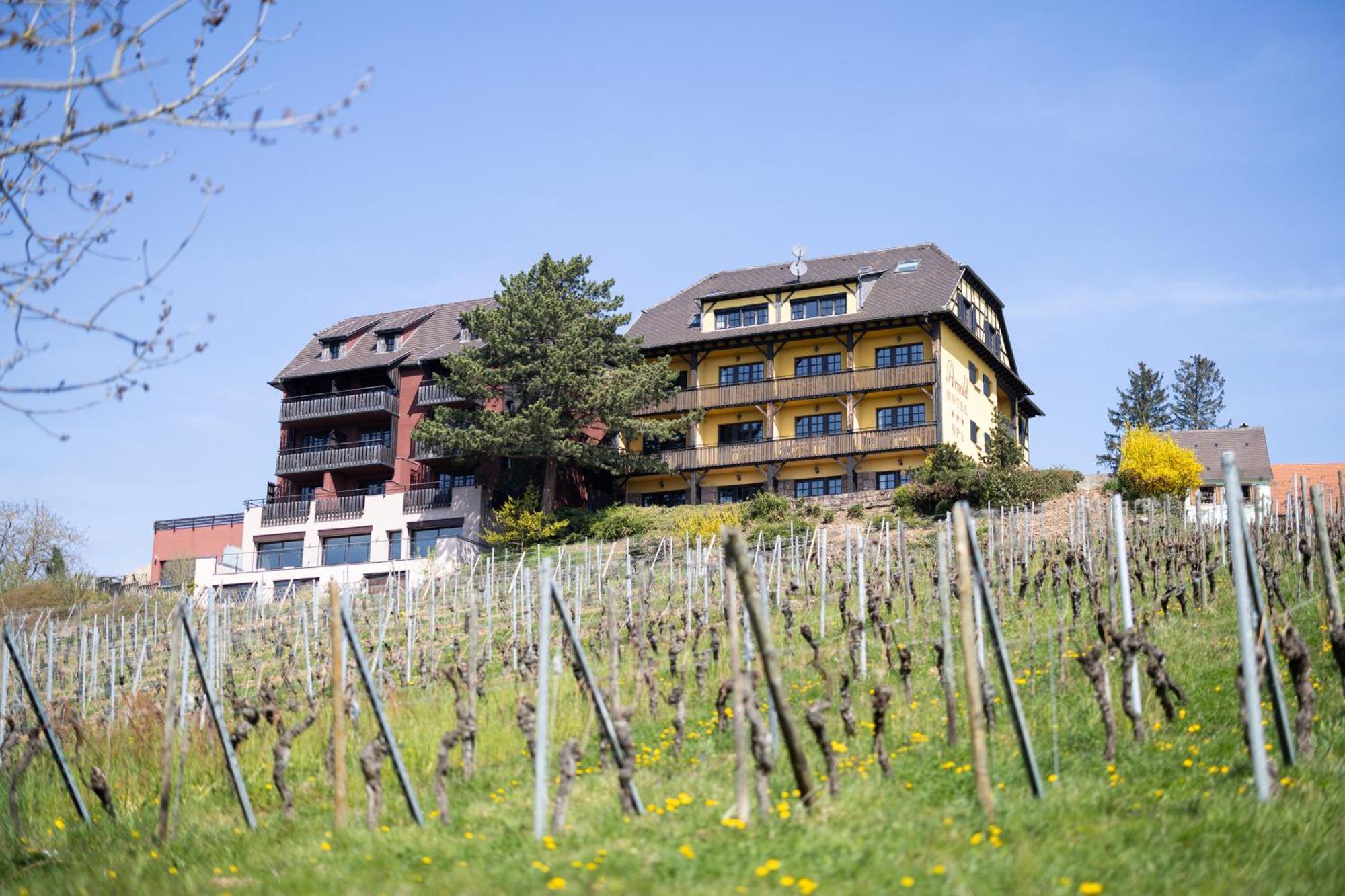 Hôtel Arnold Itterswiller Esterno foto